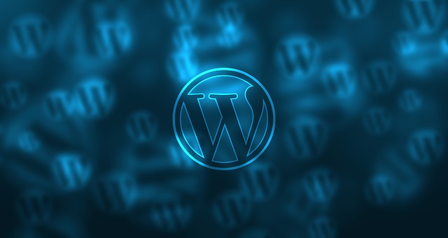 guida per installare wp